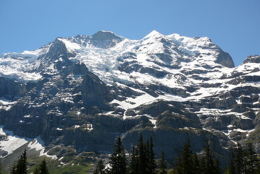 Chalet Acheregg Wengen Oda fotoğraf