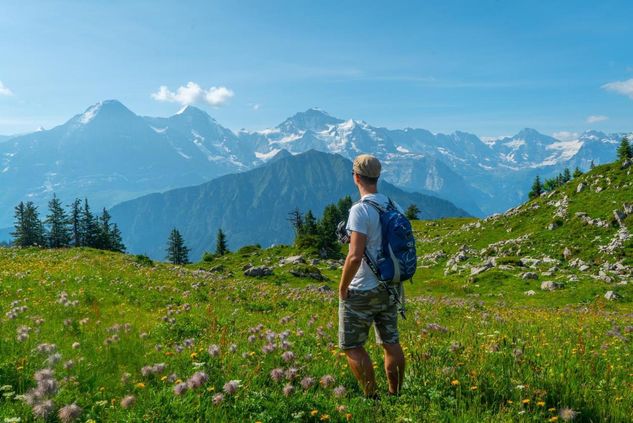 Chalet Acheregg Wengen Dış mekan fotoğraf